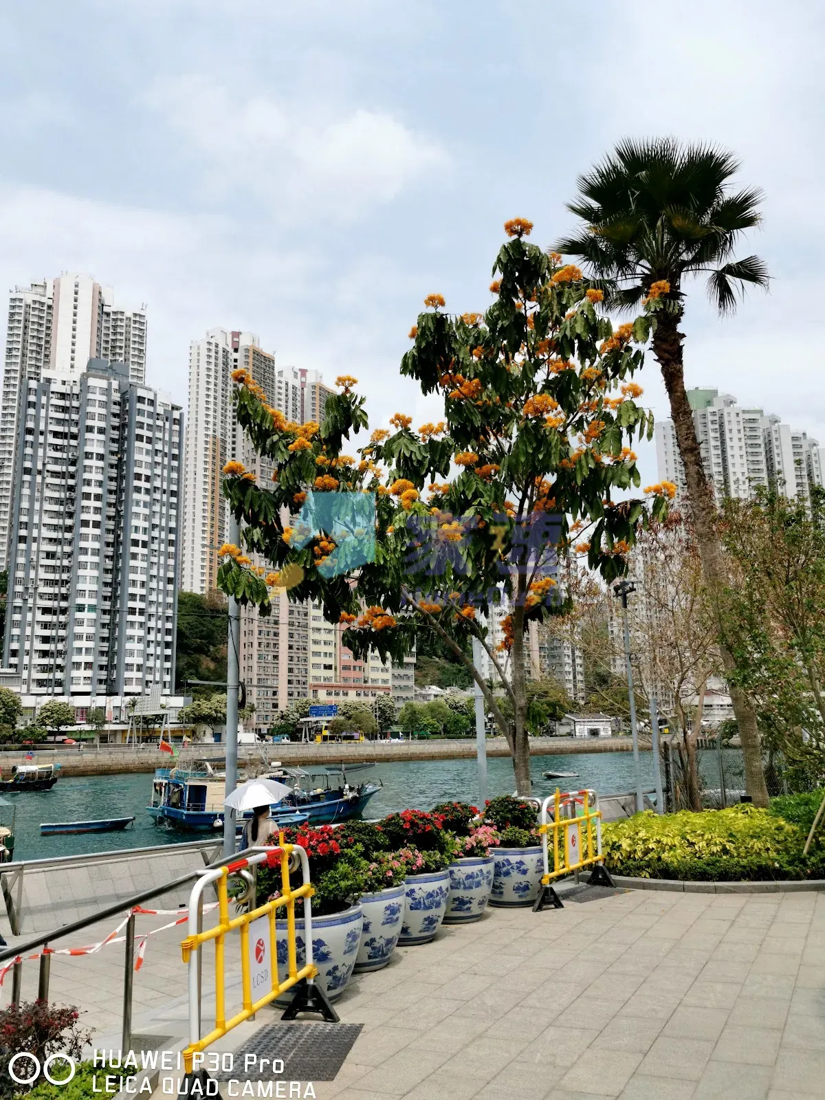 香港仔大道106號