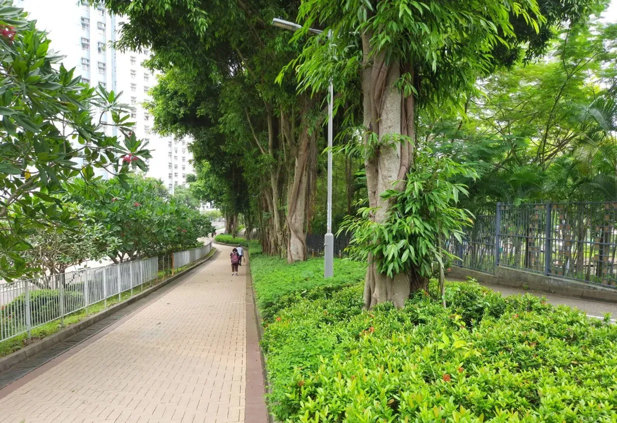 蔚藍灣畔 - 圖片 8