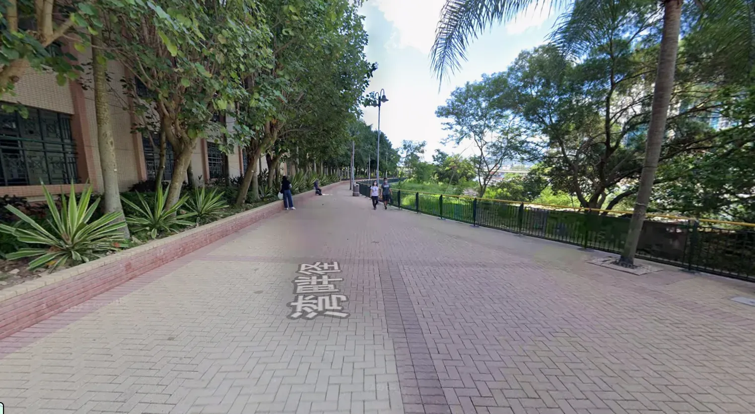 清水灣半島 - 圖片 2