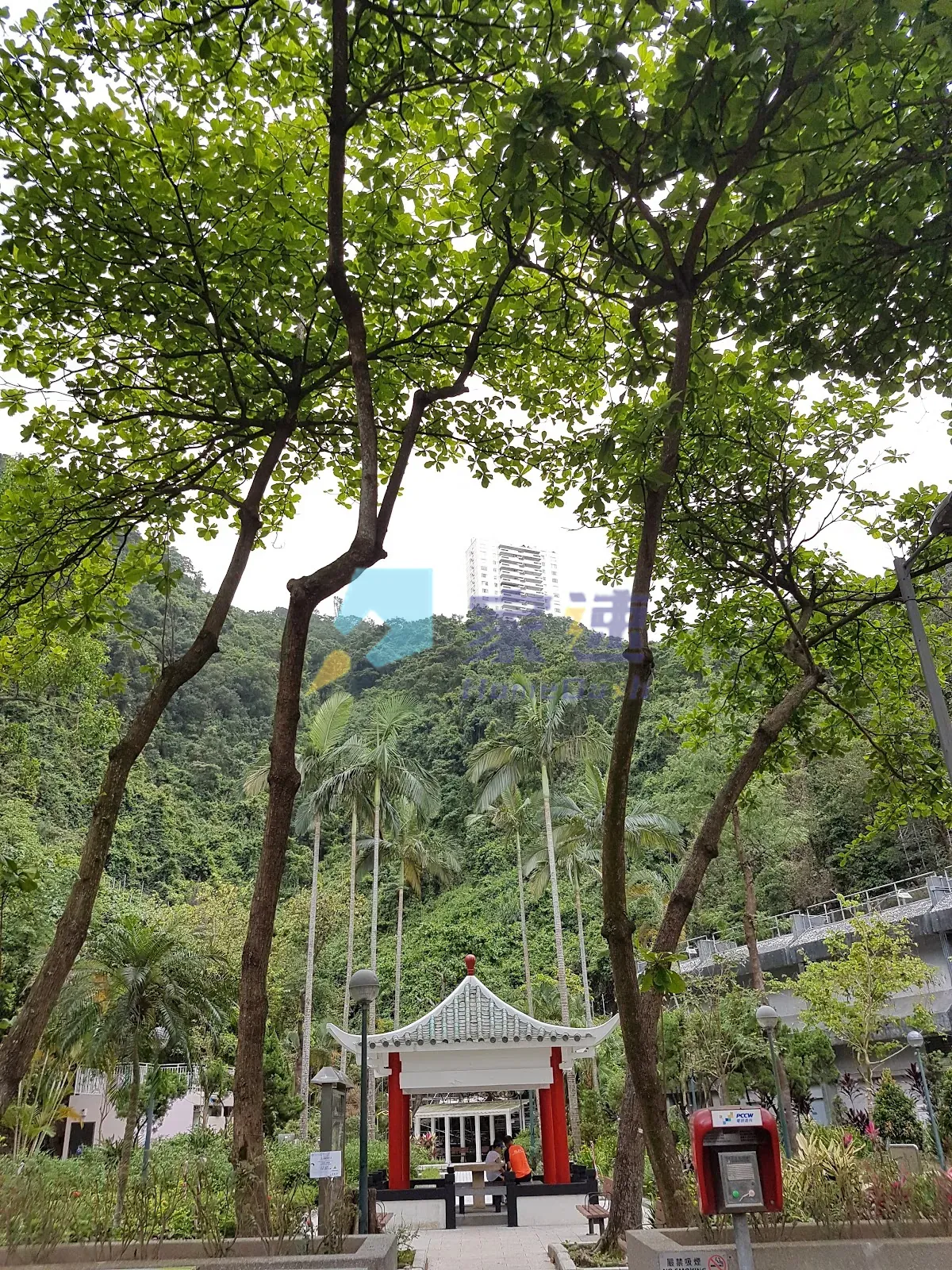 馬己仙峽道26號