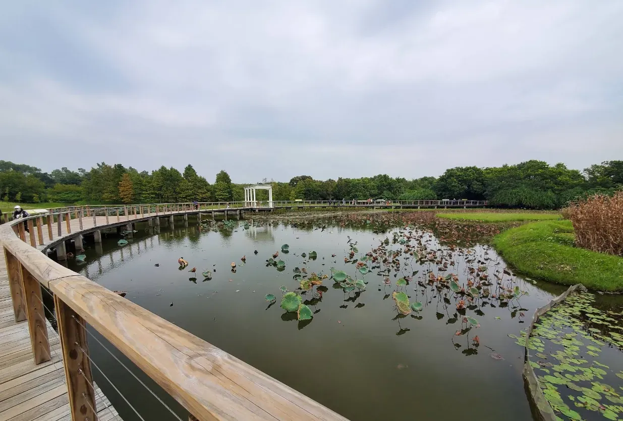 Wetland Seasons Park 縮圖