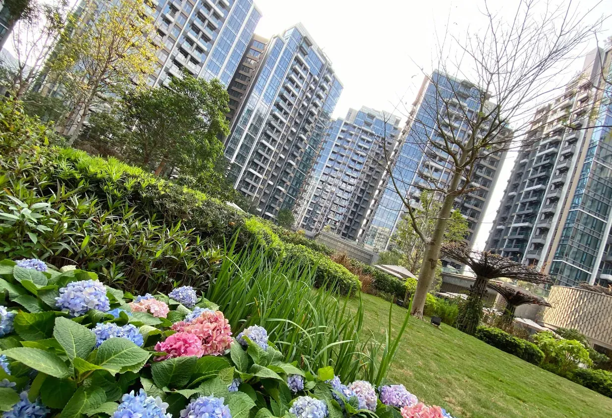 逸瓏灣 - 圖片 2