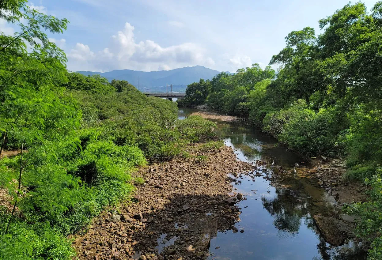 滌濤山 - 圖片 2