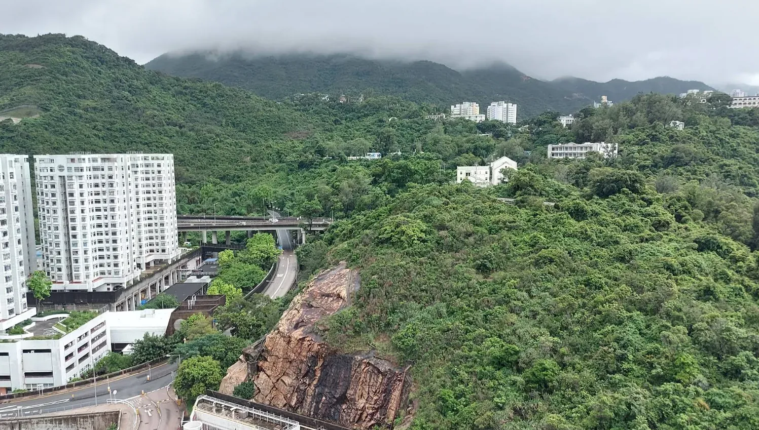 杏花邨 - 圖片 2