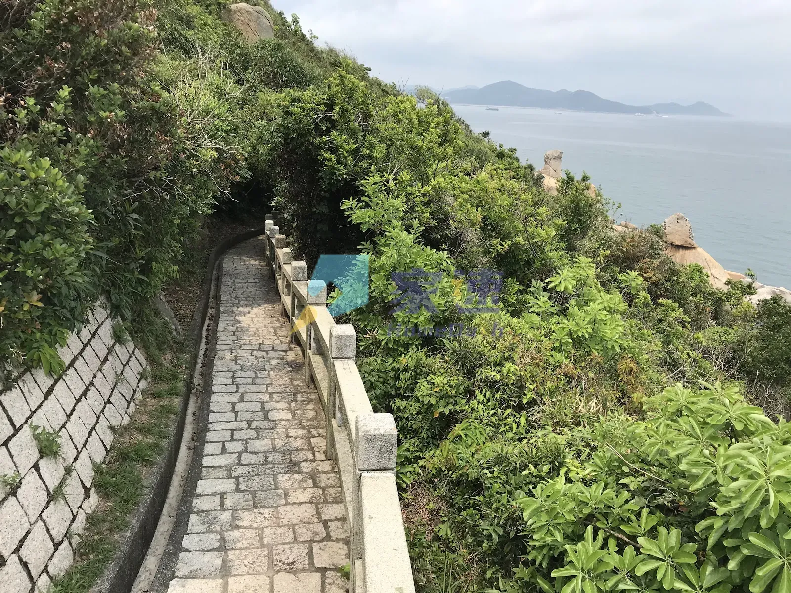 長洲山頂道西971號