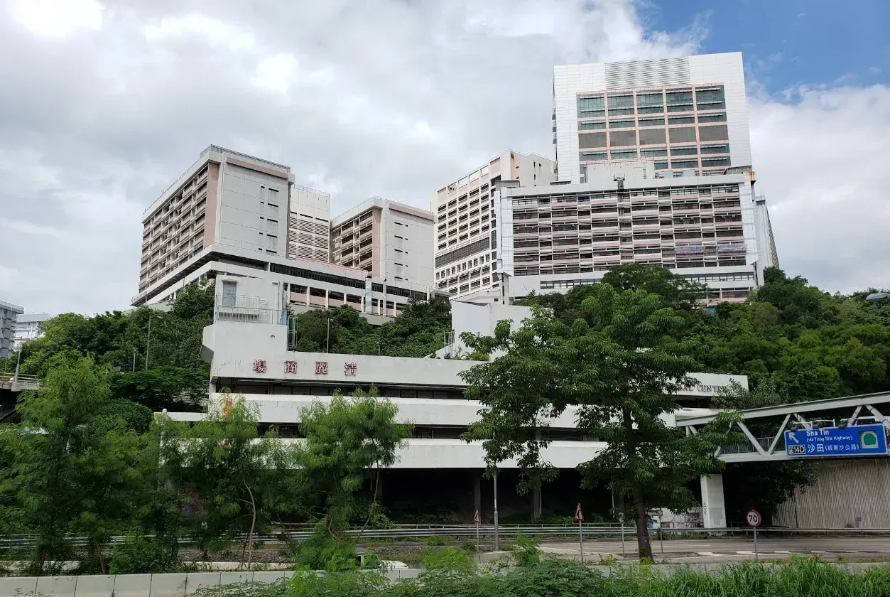 清麗苑 - 圖片 6