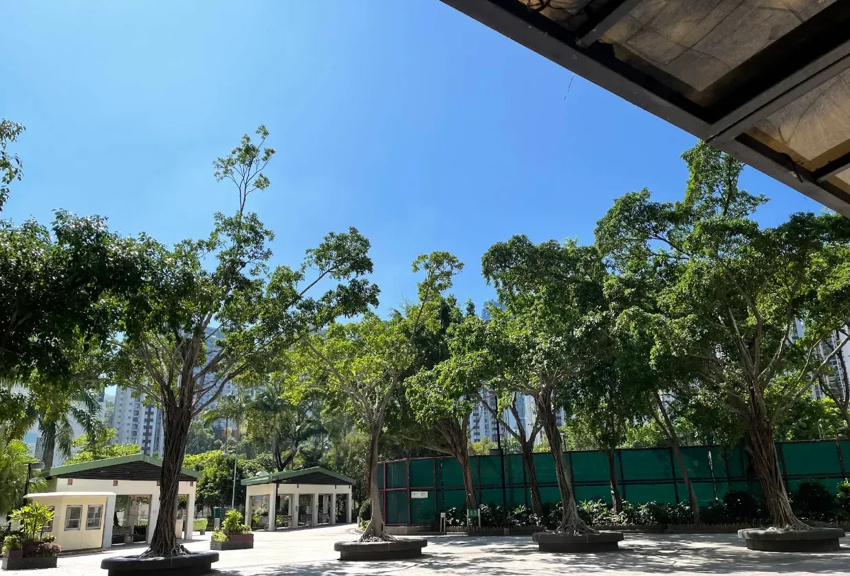 鯉景灣 - 圖片 6