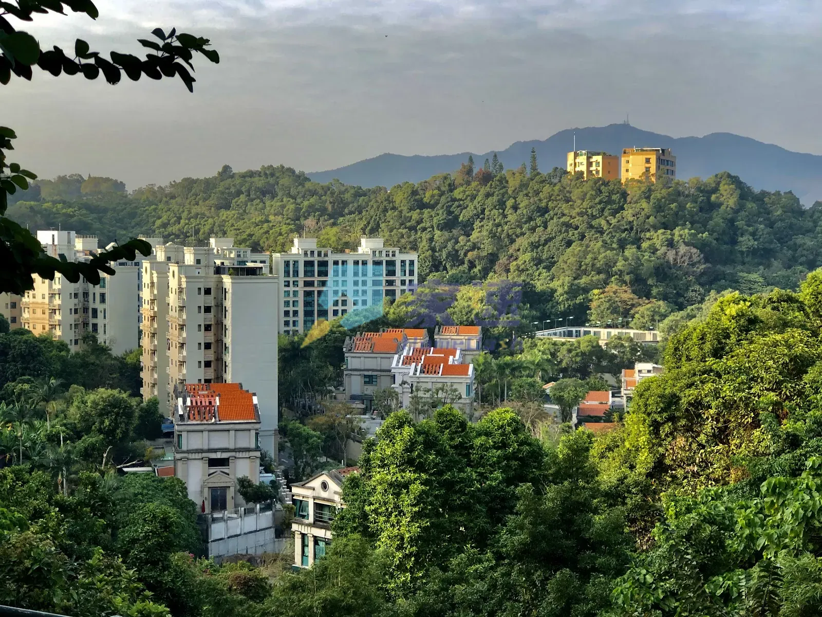 大埔公路大埔滘段4222號