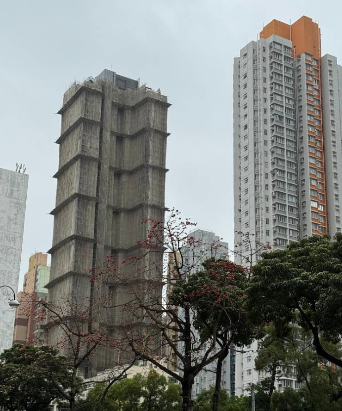 健威花園 - 圖片 6