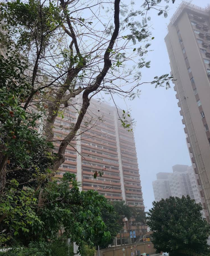 富豪閣 - 圖片 6