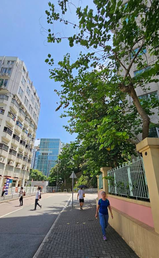 欣圖軒 - 圖片 6