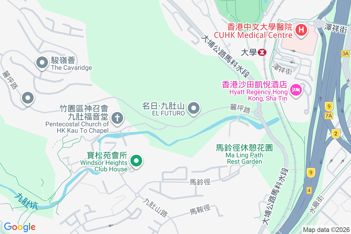 名日．九肚山 麗坪路18號