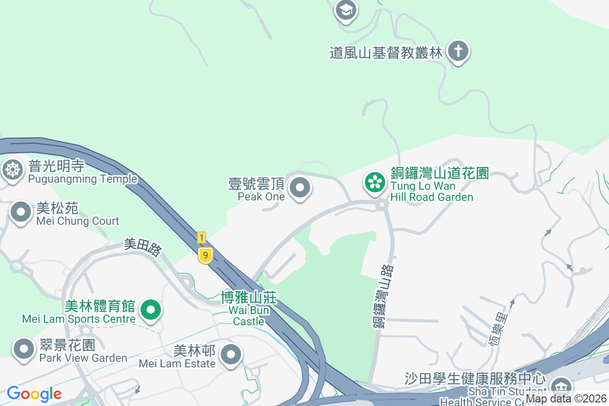 壹號雲頂 銅鑼灣山路18號