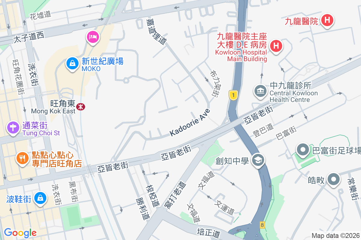 嘉道理道21號 嘉道理道21號