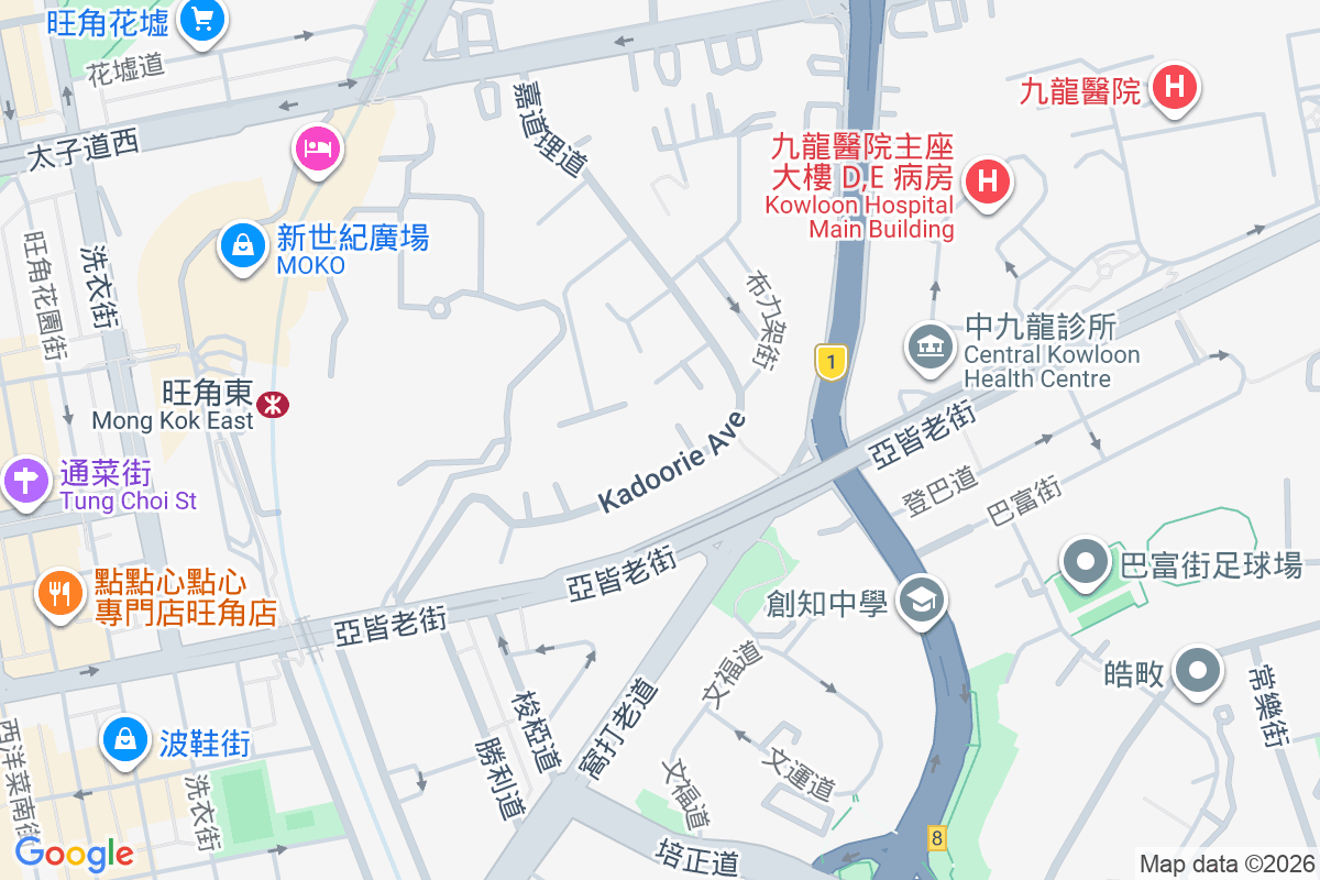 嘉道理道29號 嘉道理道29號