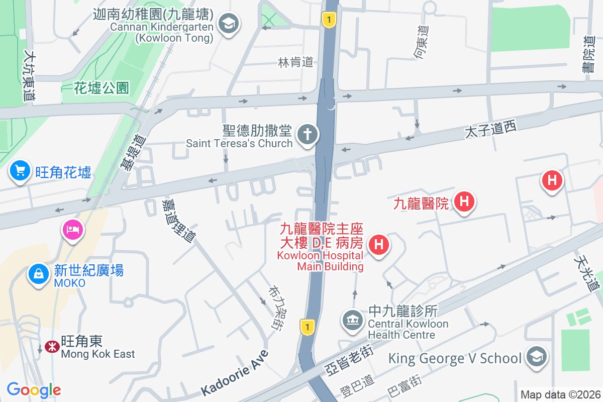 譽林 窩打老道93號