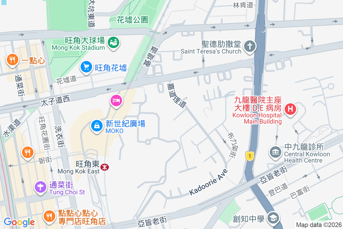 嘉道理道105號 嘉道理道105號