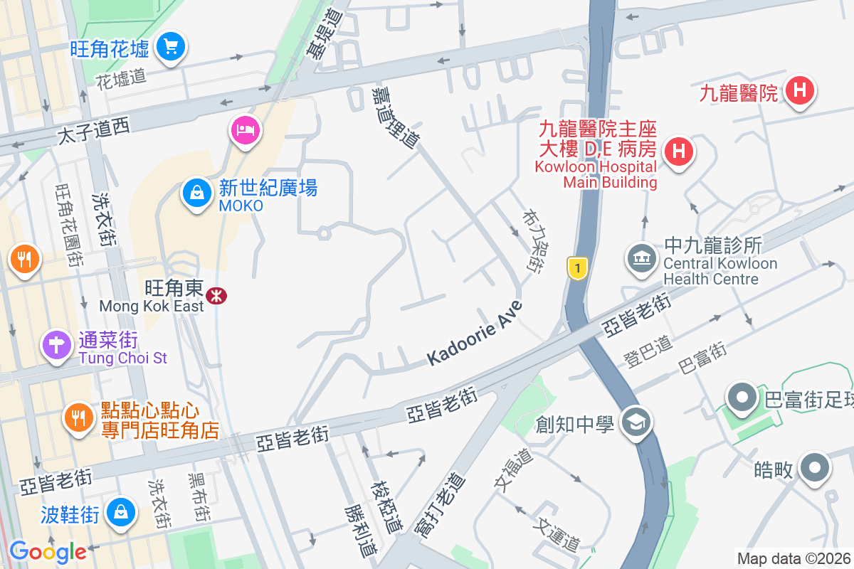 嘉道理道81號 嘉道理道81號