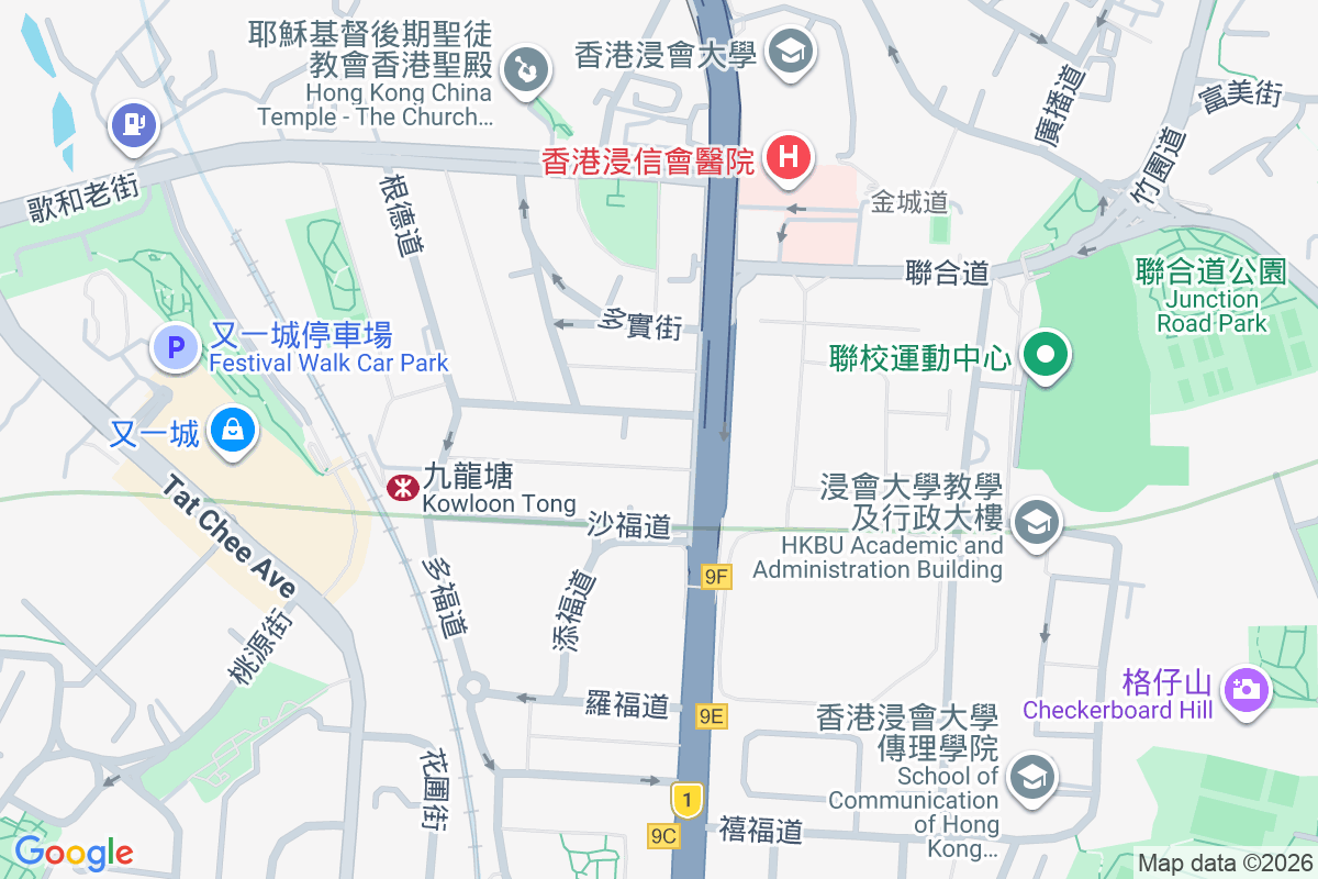 森麻實道4號 森麻實道4號