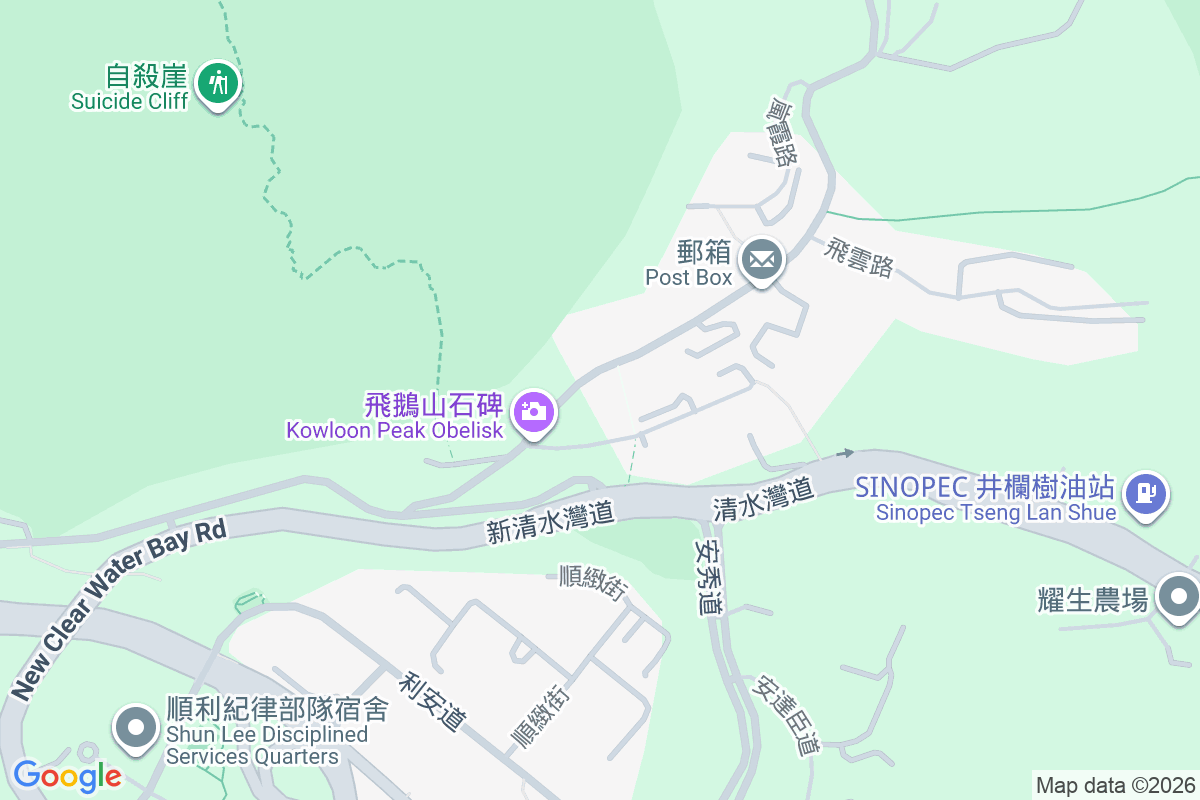 飛鵝山道6號 飛鵝山道6號