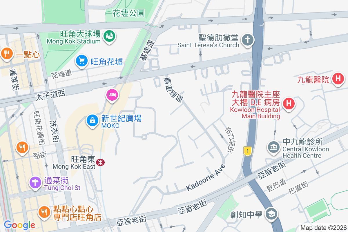 嘉道理道99號 嘉道理道99號