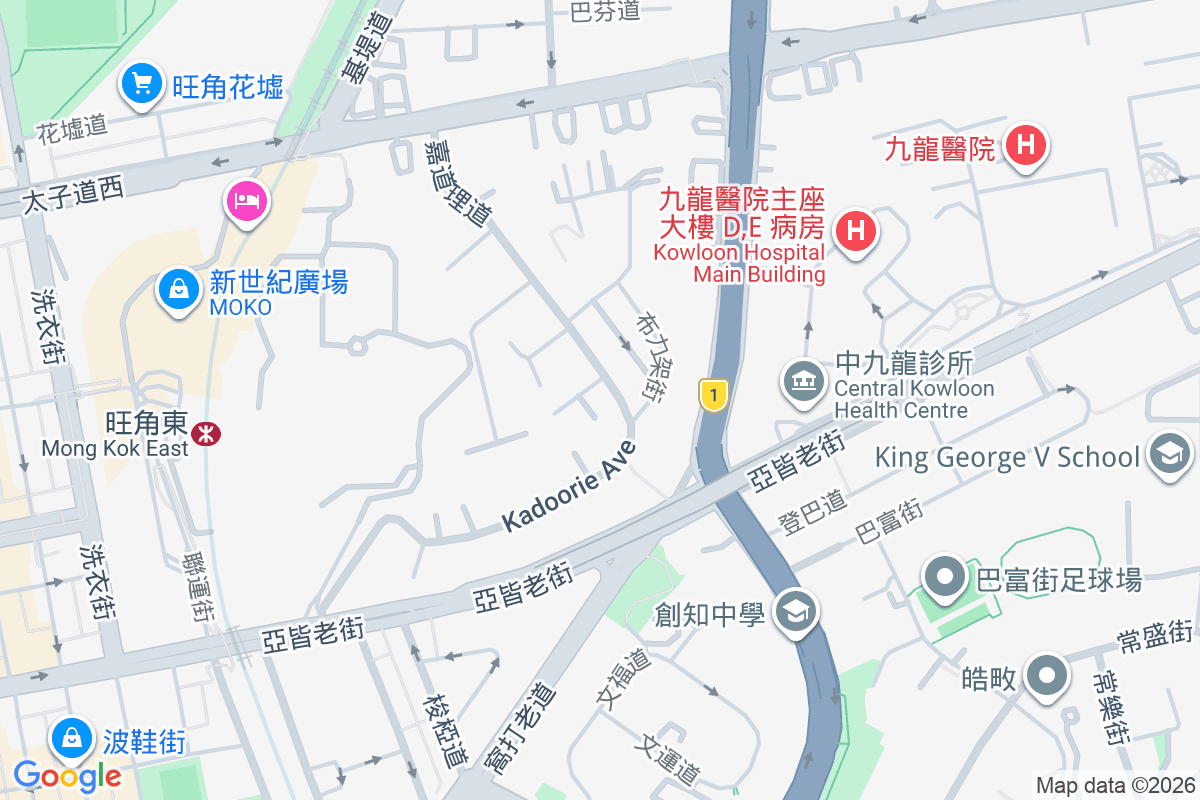 嘉道理道35號 嘉道理道35號