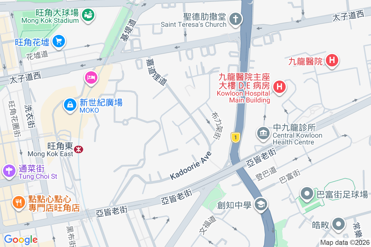 嘉道理道55號 嘉道理道55號