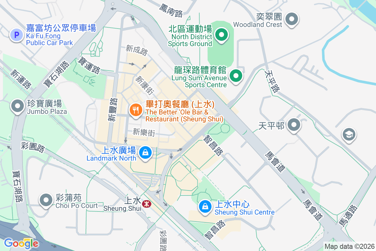 新祥街25號 新祥街25號