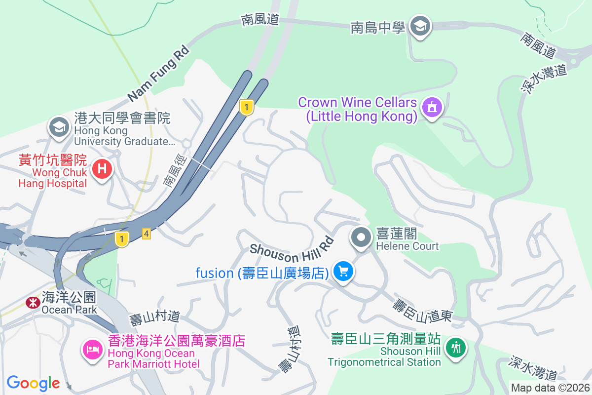 壽臣山道西 6 號 壽臣山道西6號