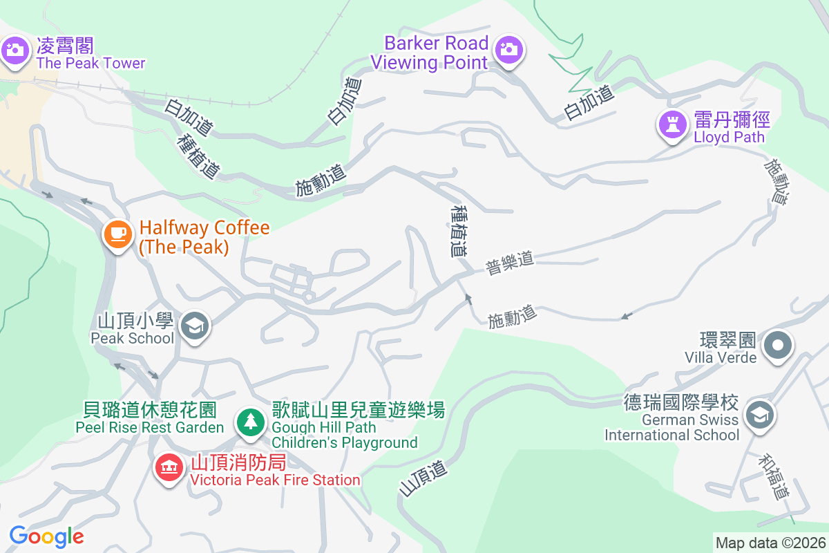 Mayfield 種植道41號