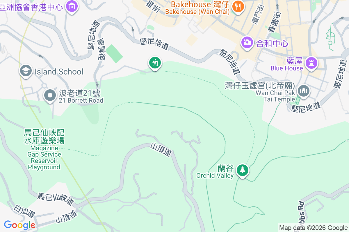 Twenty Peak Road By V 山頂道20號