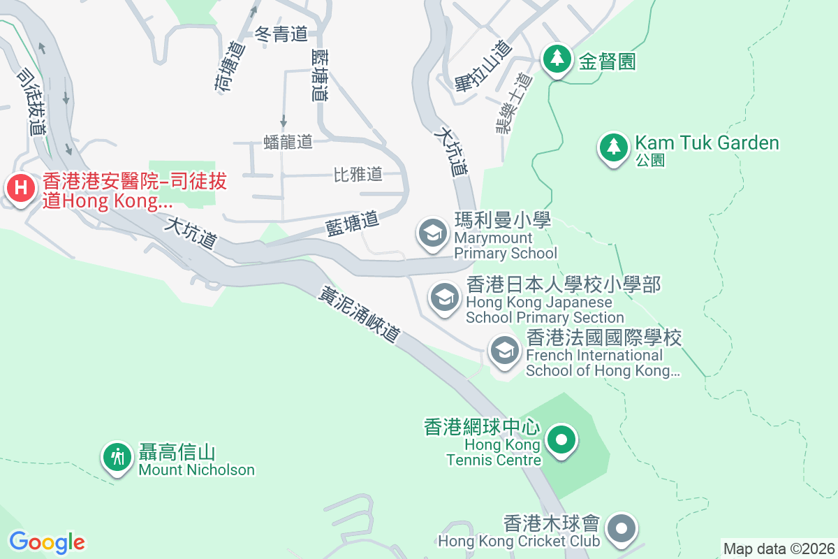 雅麗閣 大坑道333號