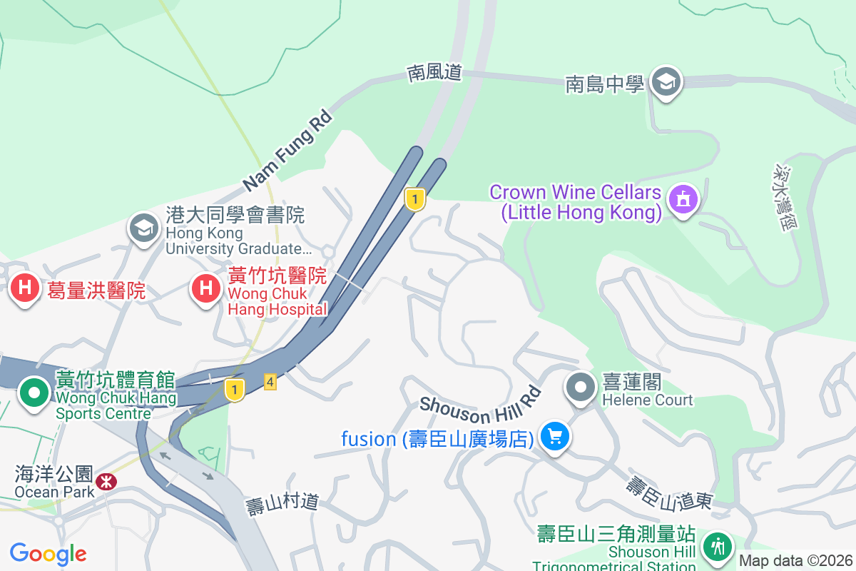 南天第 壽臣山道西11A號