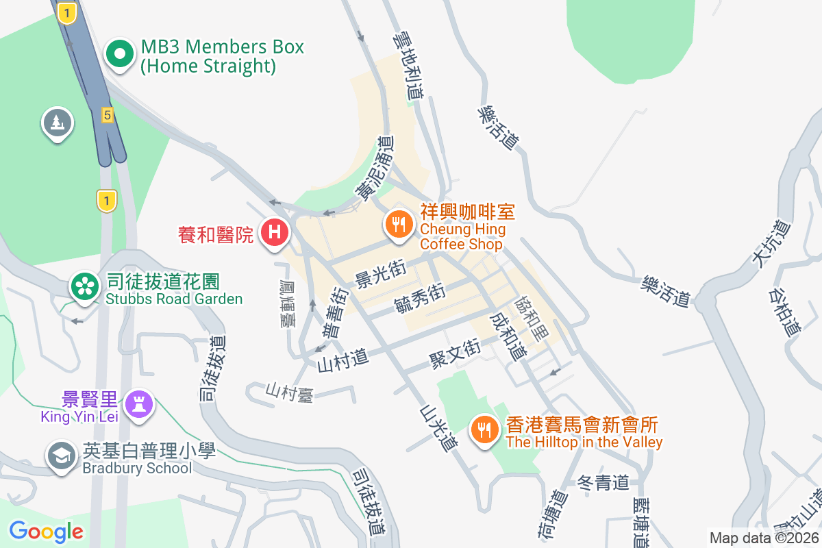 雅仕閣 山村道45-47號