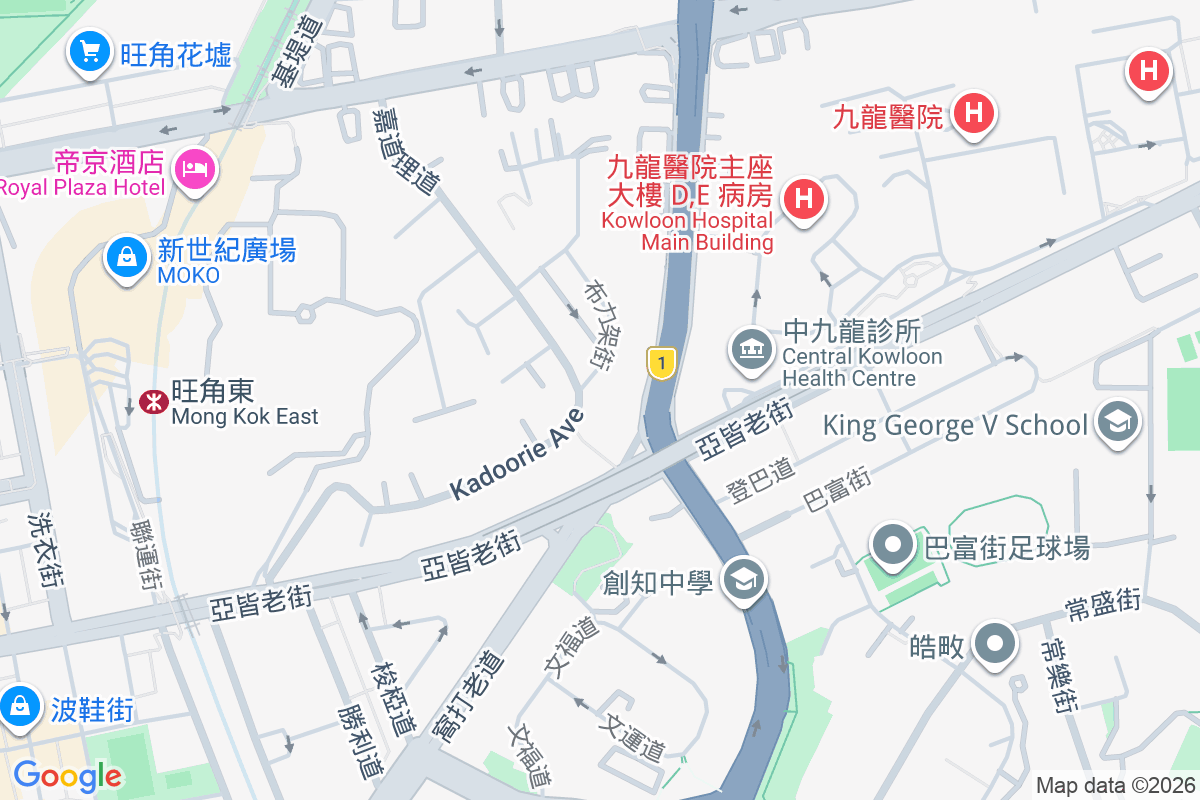 嘉道理道30號 嘉道理道30號