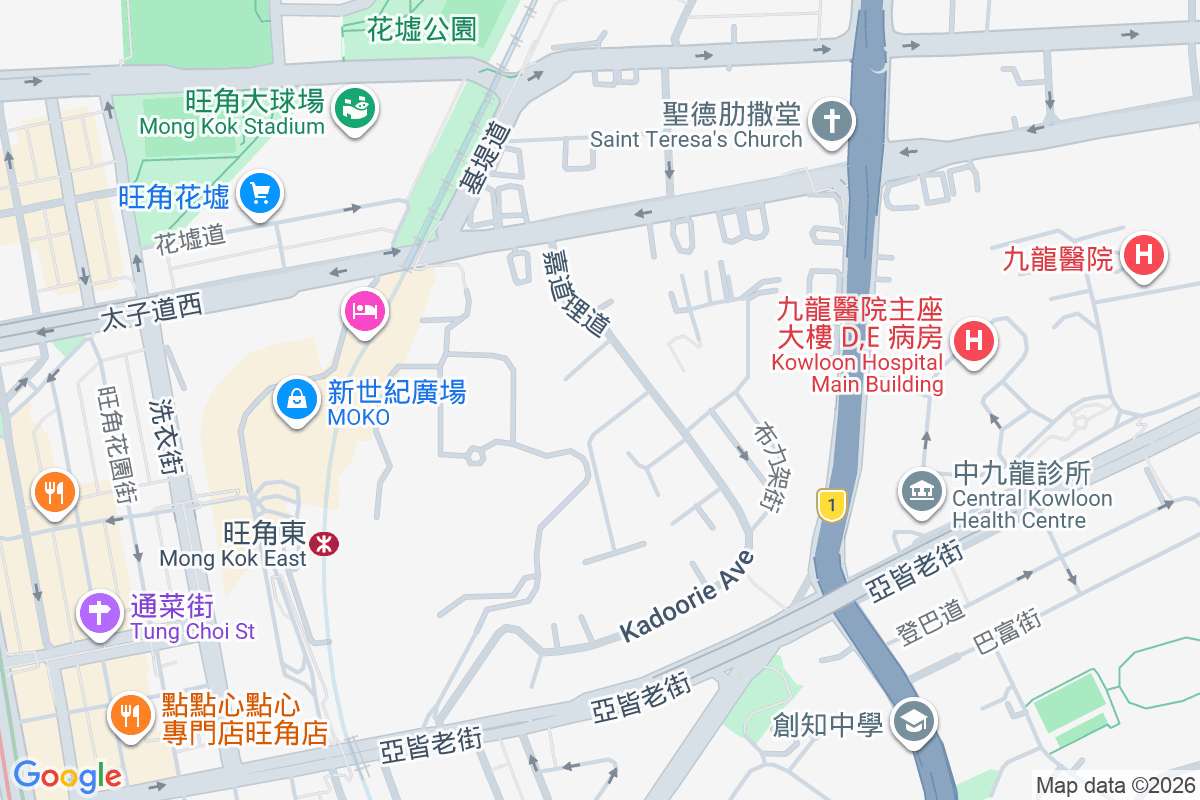 嘉道理道93號 嘉道理道93號