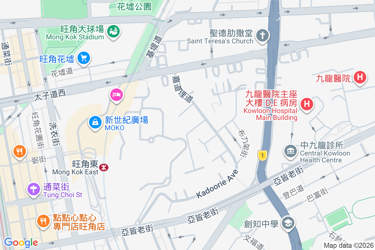 嘉道理道91號 嘉道理道91號