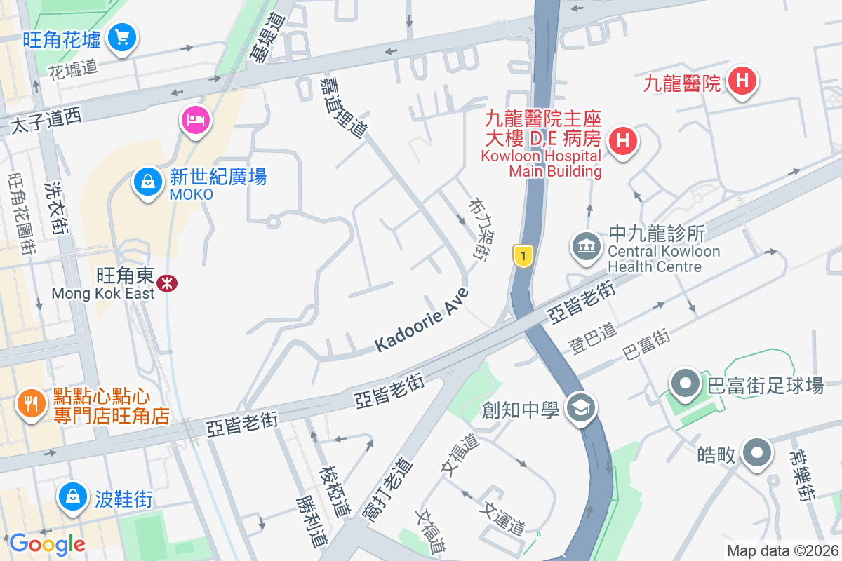 嘉道理道45號 嘉道理道45號