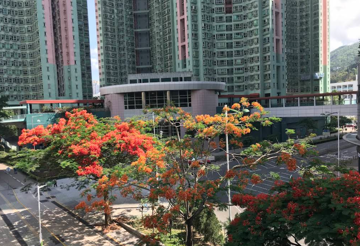 叠翠軒 - 圖片 6