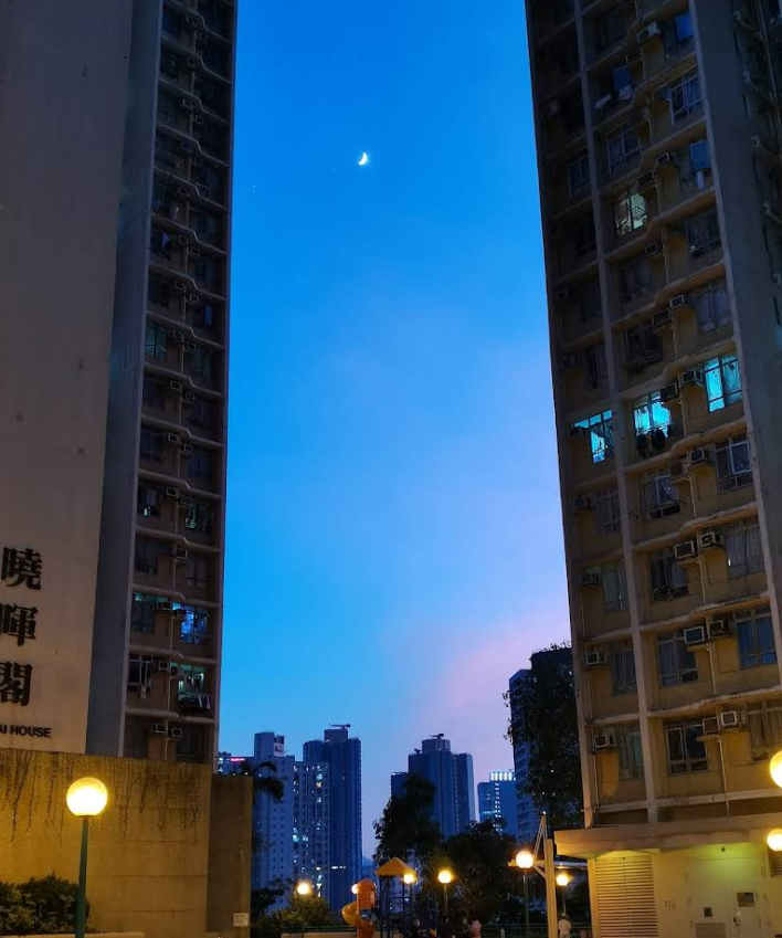 曉麗苑 - 圖片 6