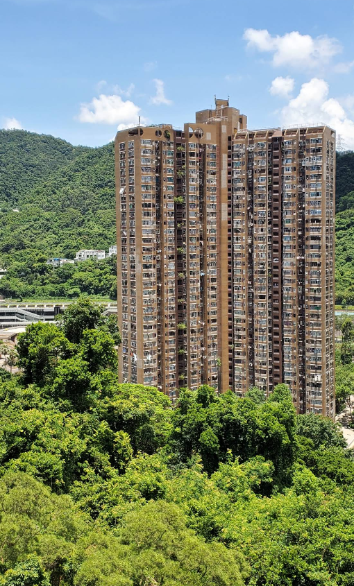 顯徑邨 - 圖片 6