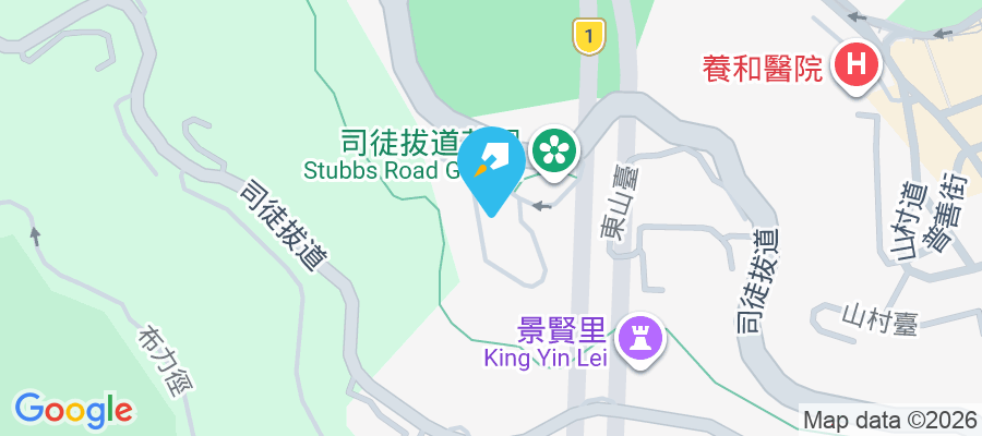 Central Peak 司徒拔道18號