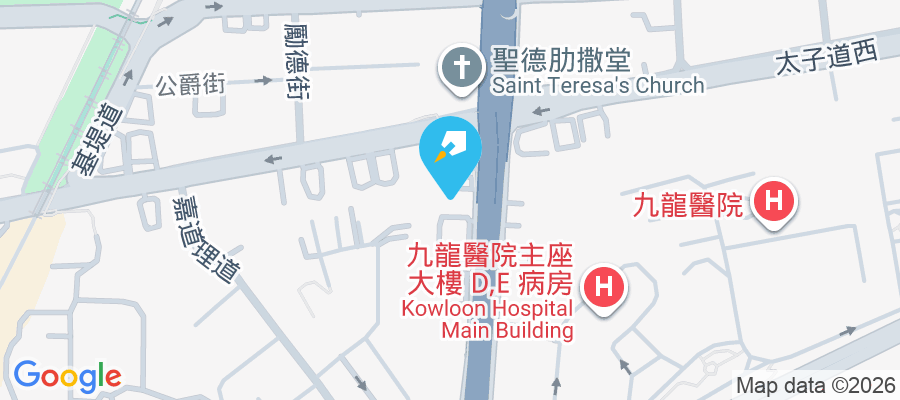 譽林 窩打老道93號