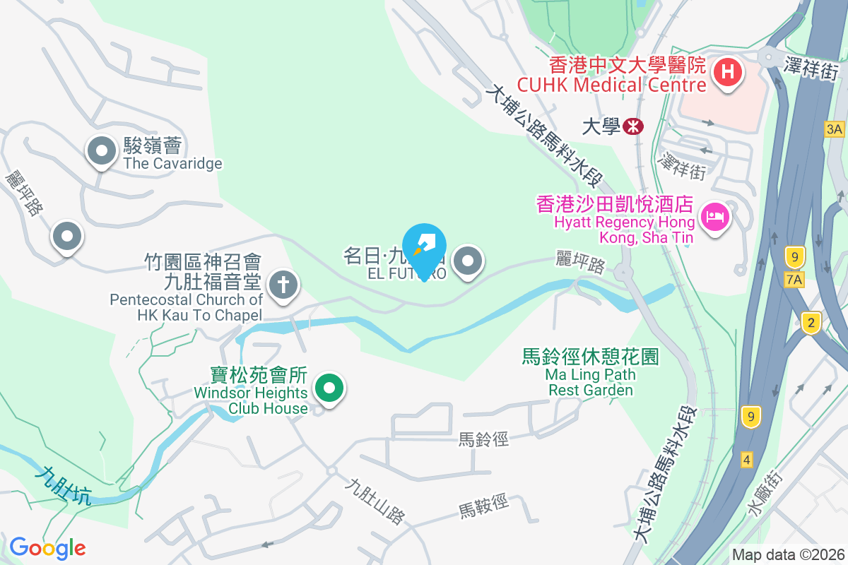 名日．九肚山 麗坪路18號