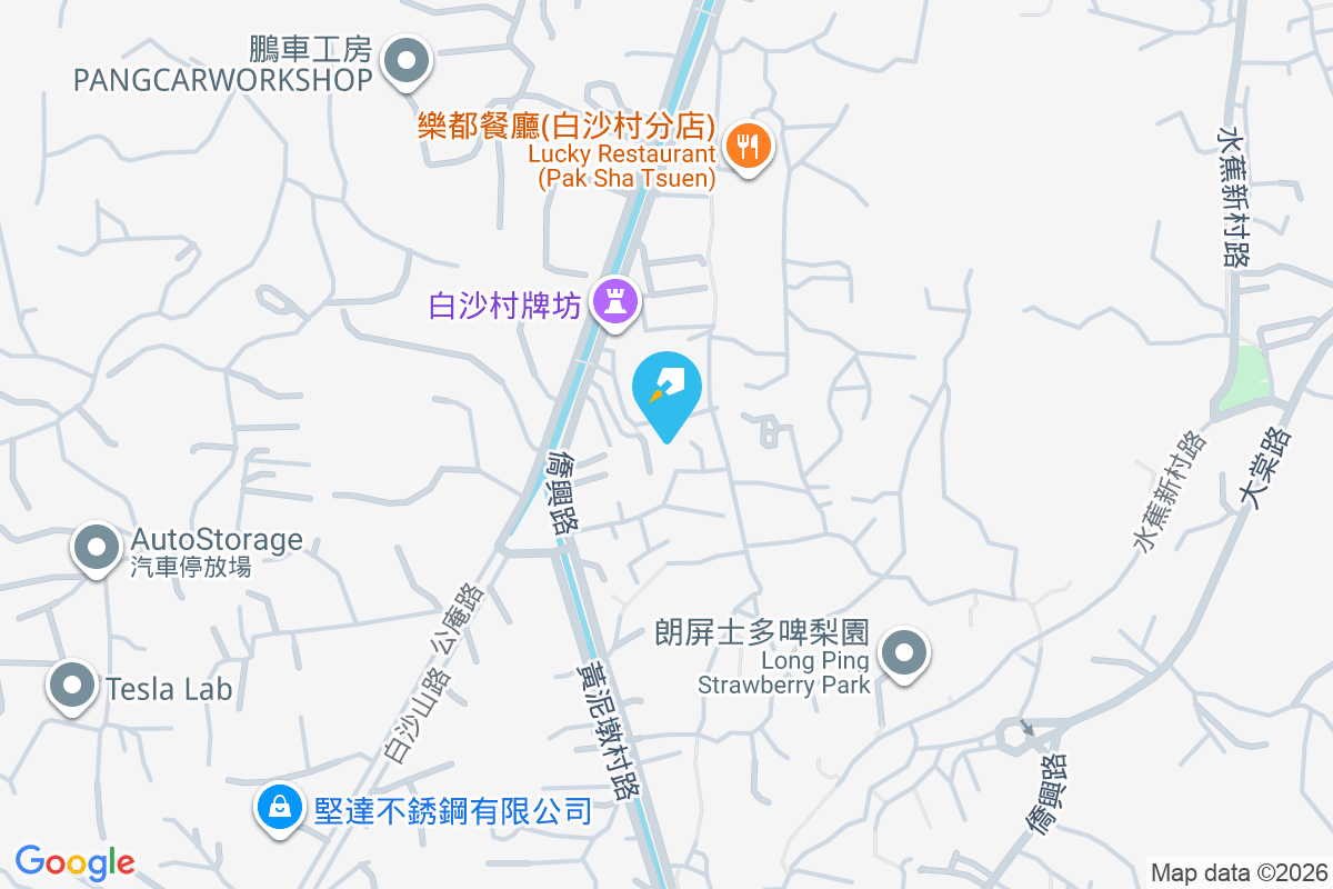 金安花園 白沙村246A號