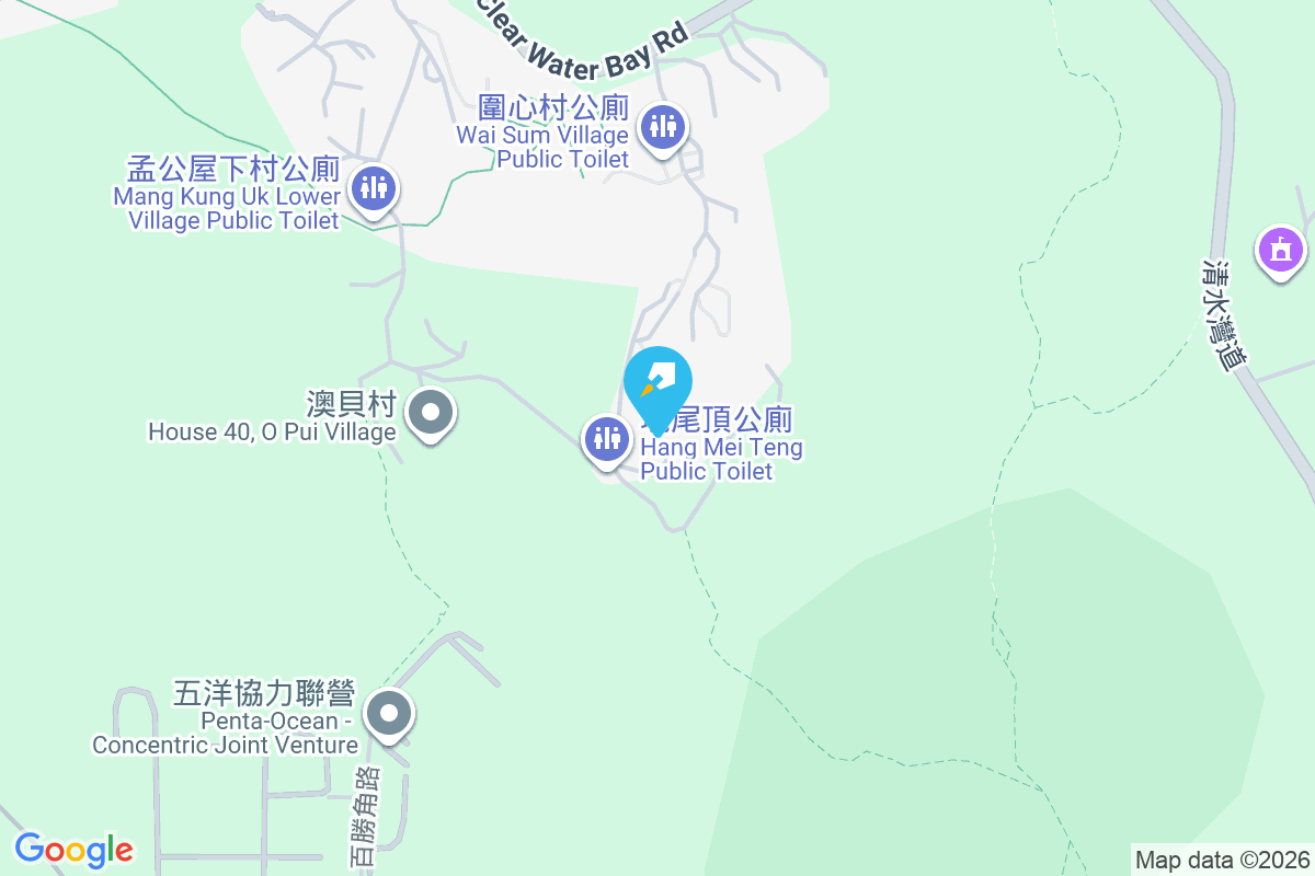 坑尾頂村 坑尾頂村1-85號