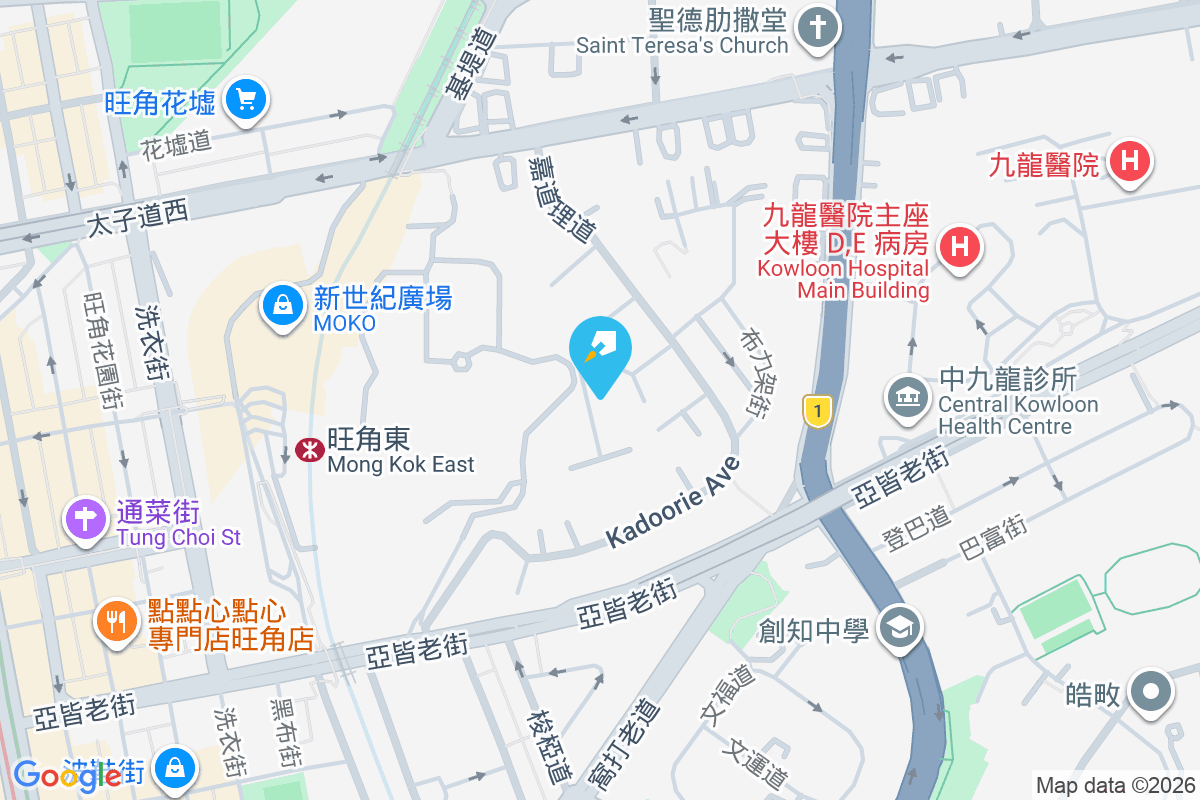 嘉道理道79號 嘉道理道79號