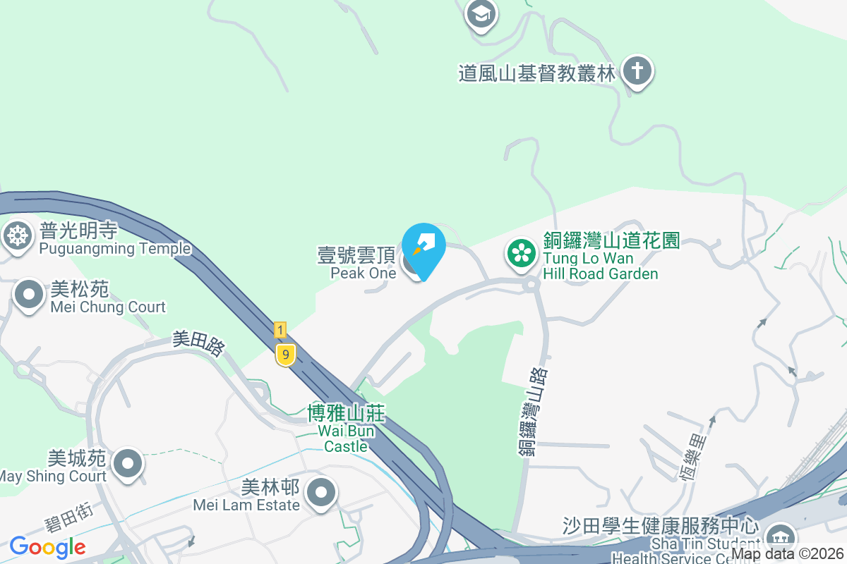 壹號雲頂 美田路/銅鑼灣山道