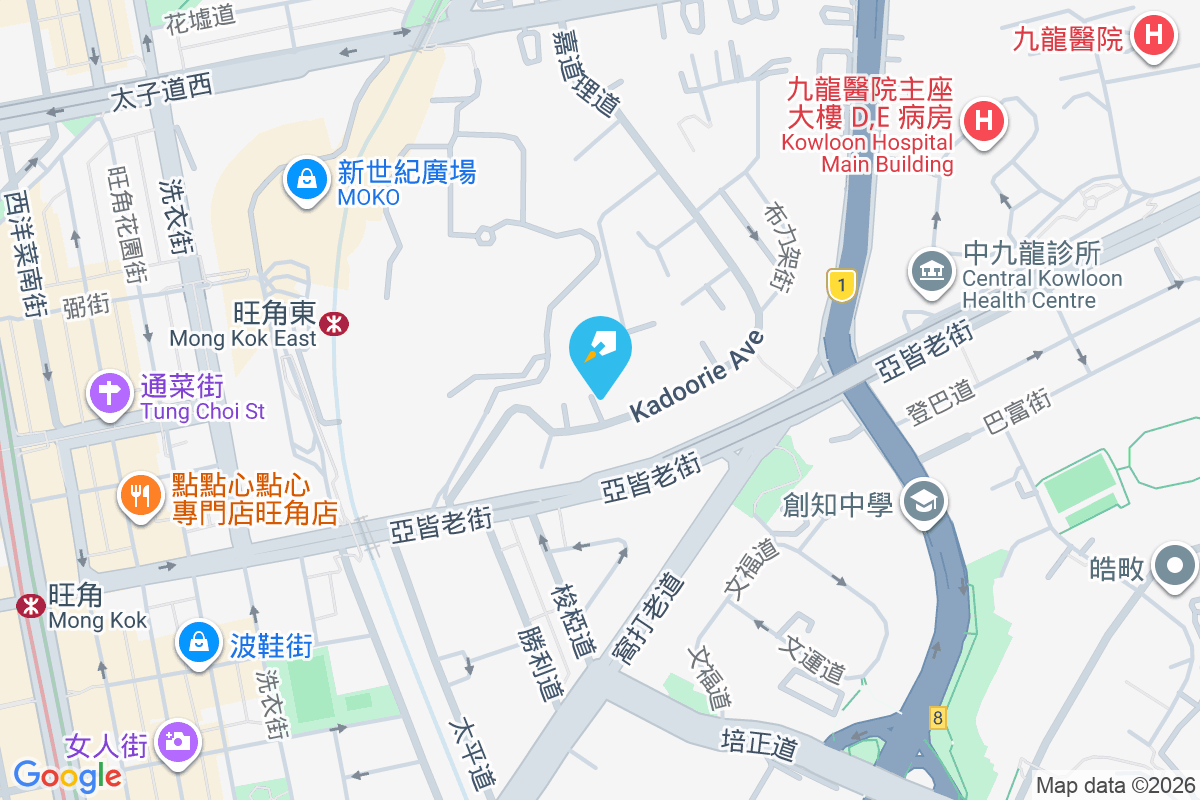 嘉道理道9號 嘉道理道9號