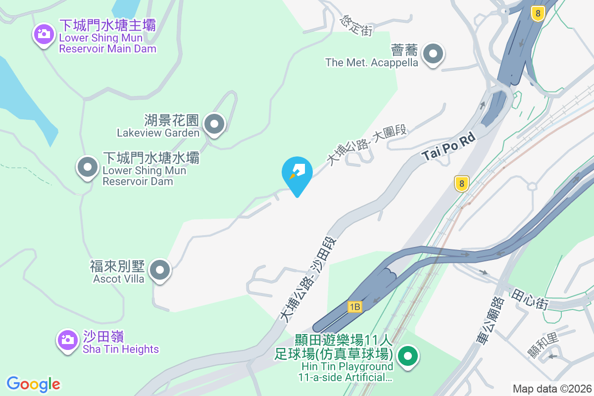 御林峰 沙田嶺路11號